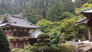 【最乗寺】本堂からの風景