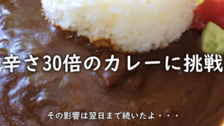 LEEの辛さ30倍カレー